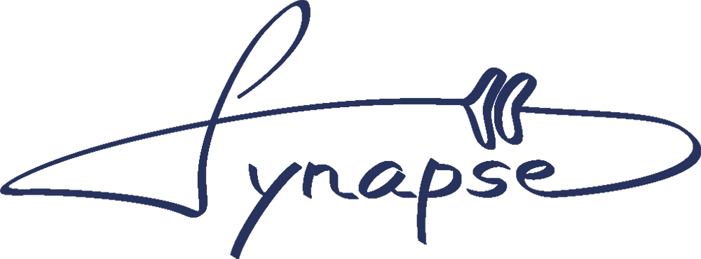 2020-09-23_Logo Synapse final dd